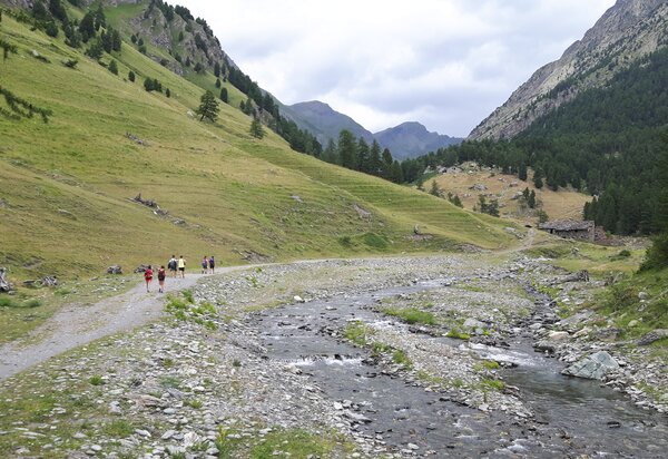 Sentiero montano che corre lungo il torrente Vallanta, sulla destra. Intorno praterie alpine e larici verdi